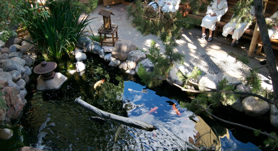 Portfolio Image